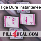 Tige Dure Instantanée 33